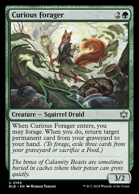 Curious Forager BLB_169