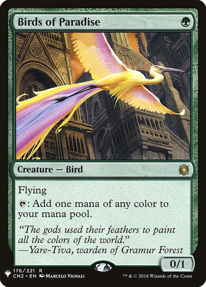 Birds of Paradise LIST_CN2-176