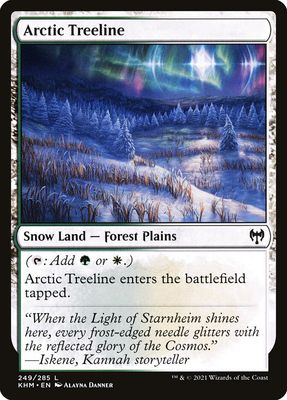 Arctic Treeline KHM_249