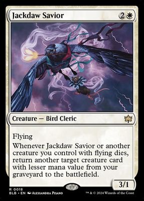 Jackdaw Savior BLB_18