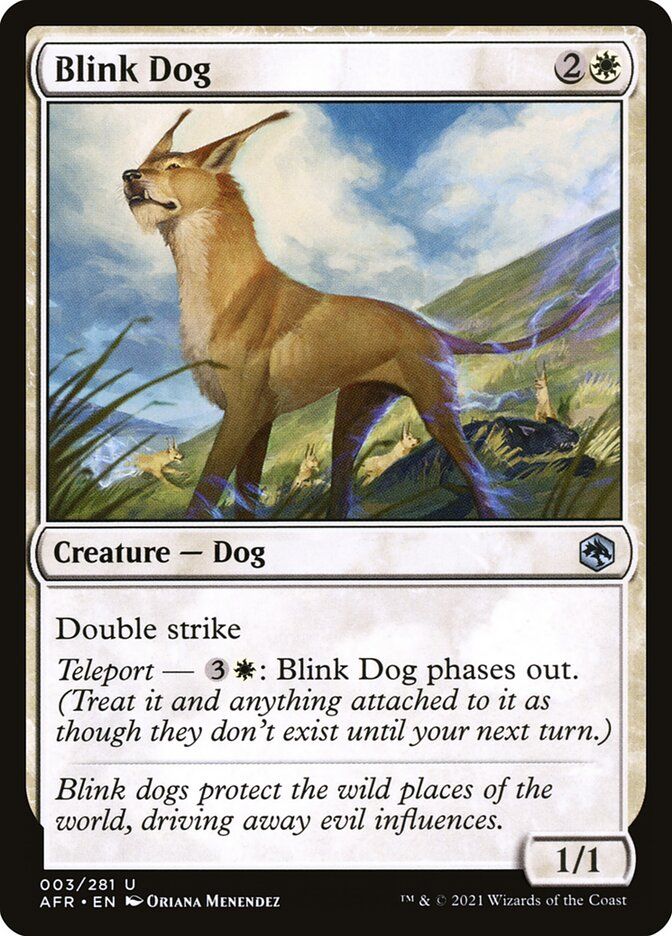 Blink Dog AFR_3
