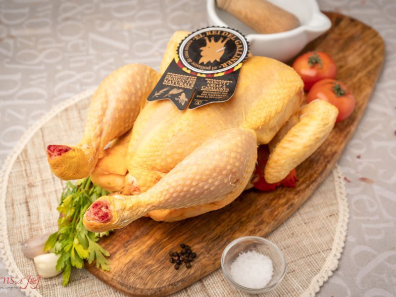 Pollo "El Rei de l'Empordà"