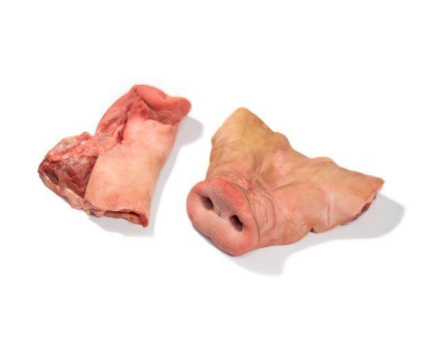 Morritos