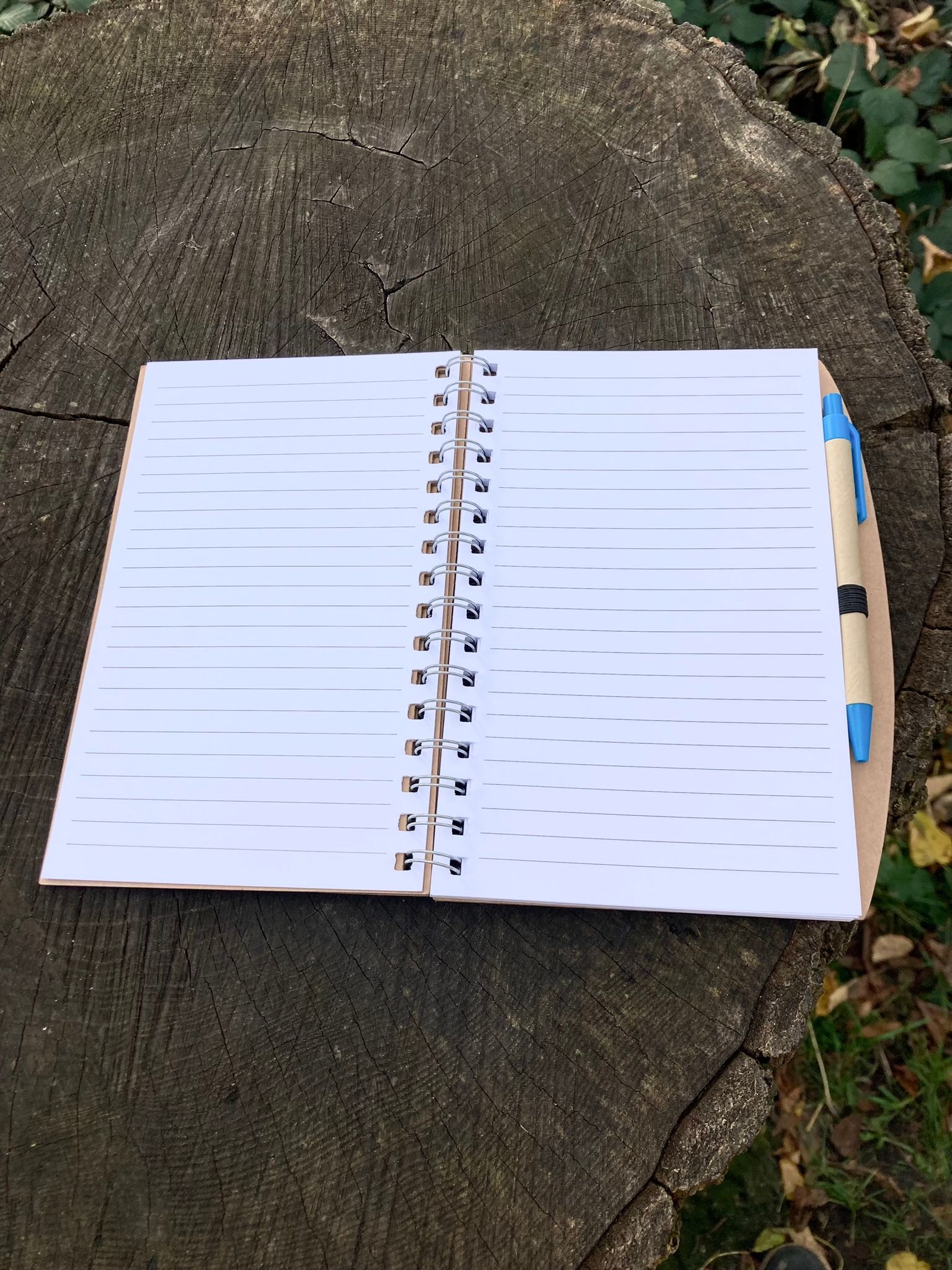 Viking Longship Notebook with Pen