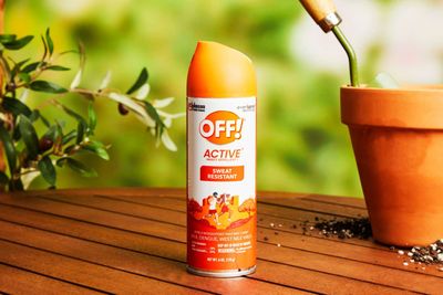 Insect Repellant Spray