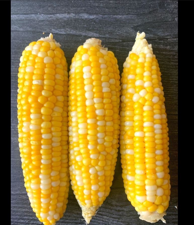 Corn on the Cob
