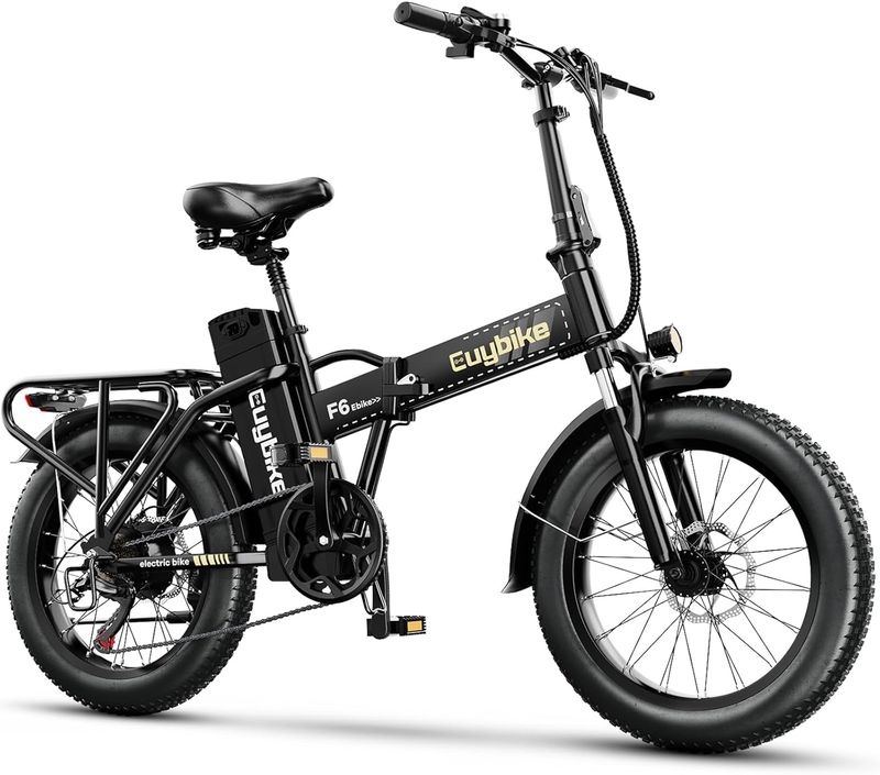 Ebike Rental