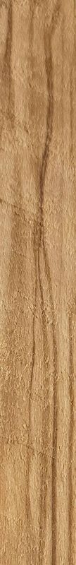 Bethlehem Olivewood