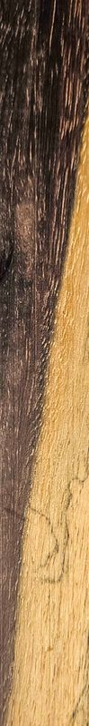 Brazelion Ebony with SAP