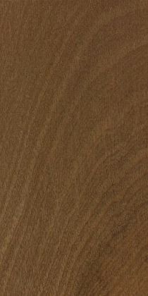 Sapele
