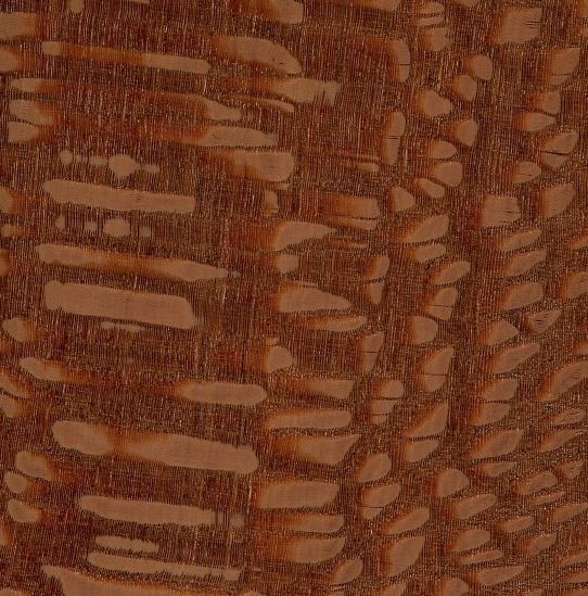 leopard wood