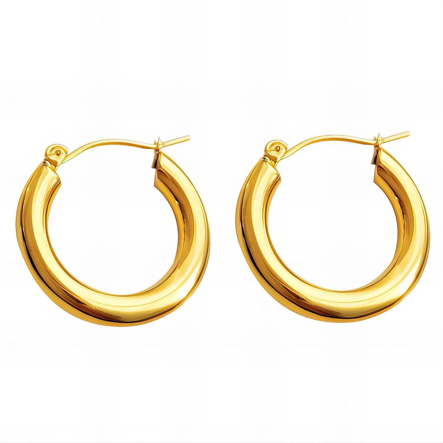 Golden Loop Earrings