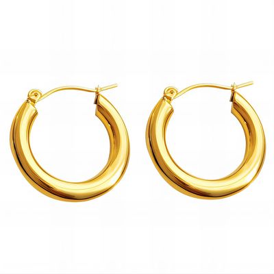 Golden Loop Earrings