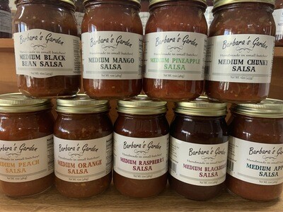Barbara&#39;s Garden Salsa