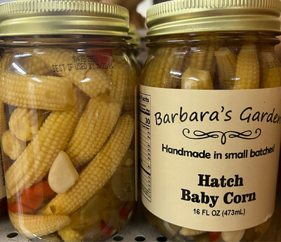 Hatch Baby Corn