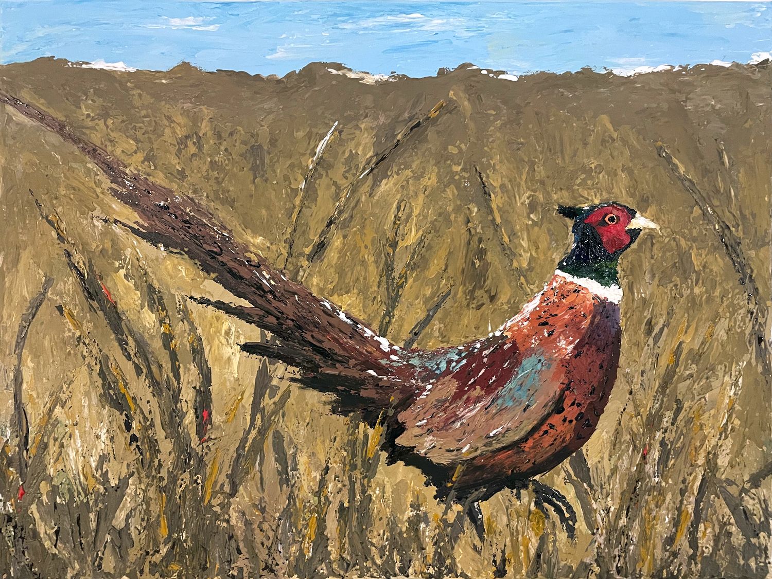 Ringneck Stalk – 2024