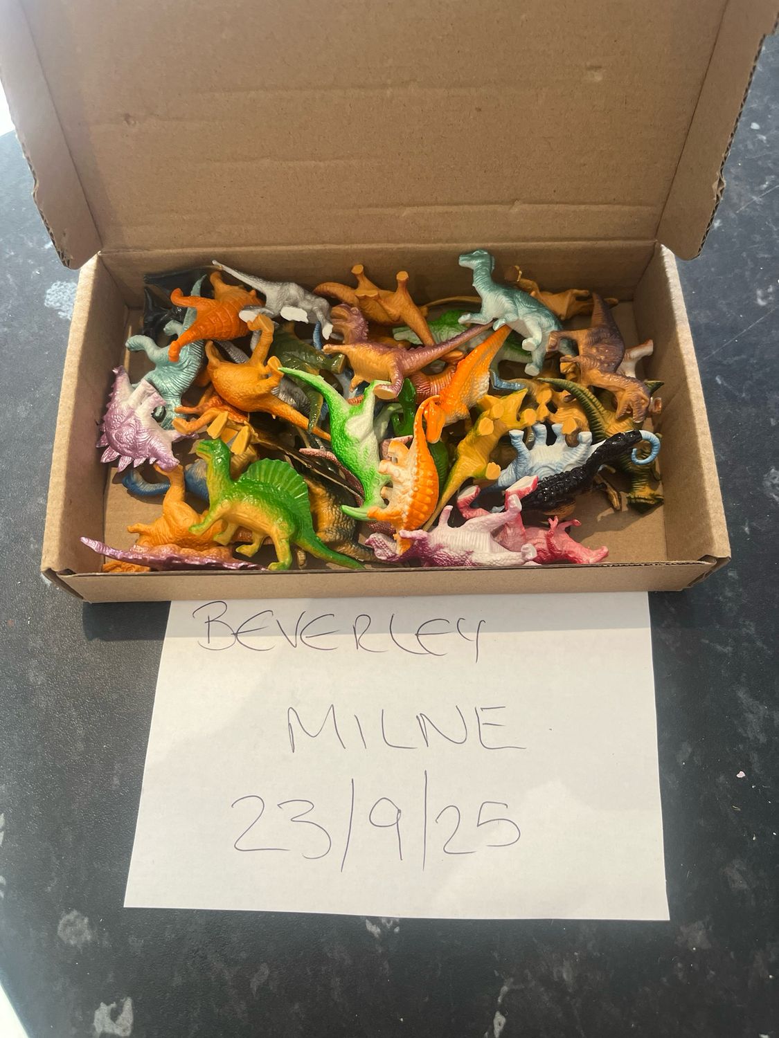 Mini Dinosaurs