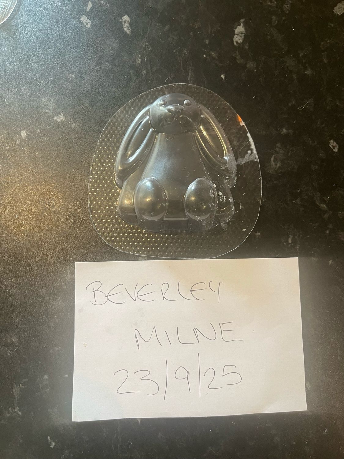 Bath Bomb Mould Bunny