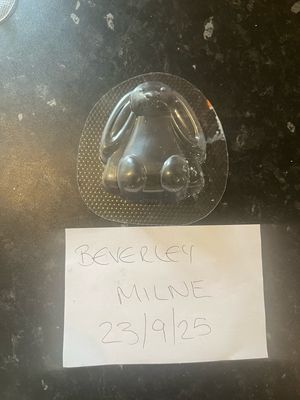 Bath Bomb Mould Bunny