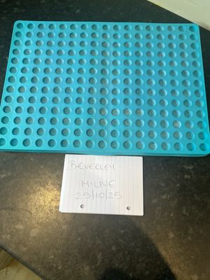 Scoopie Silicone Mould