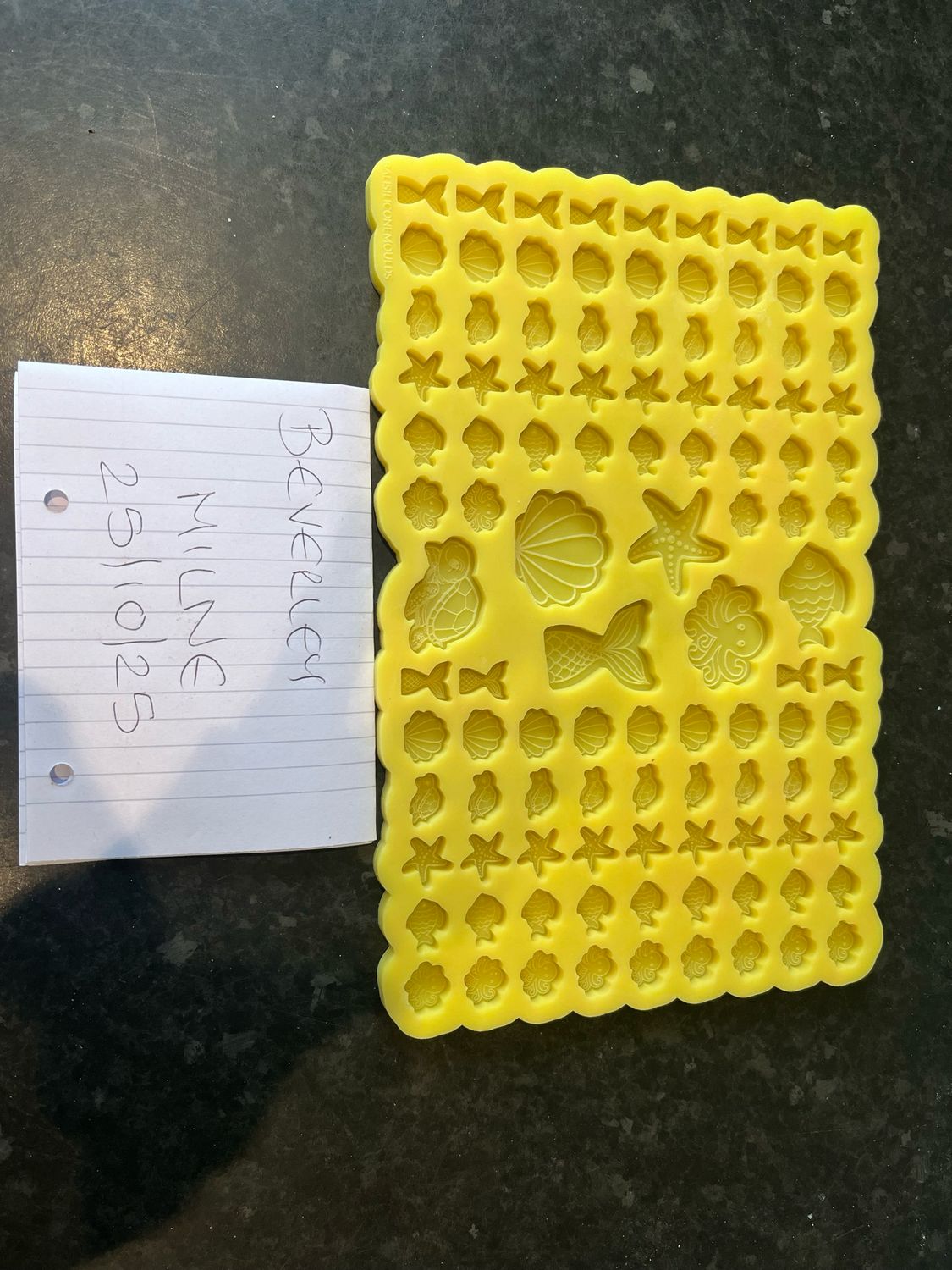 Under the sea Scoopie Silicone Mould