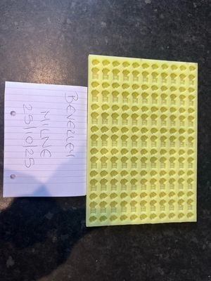 Grinch Scoopie Silicone Mould