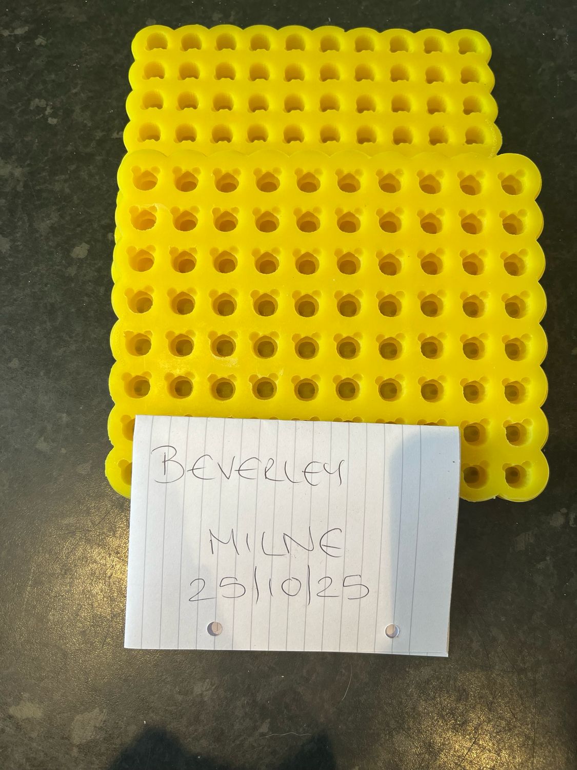 3d bearsSilicone Mould