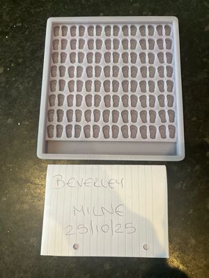 Flip flop Scoopie Silicone Mould