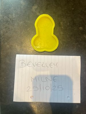 Willy Silicone Mould