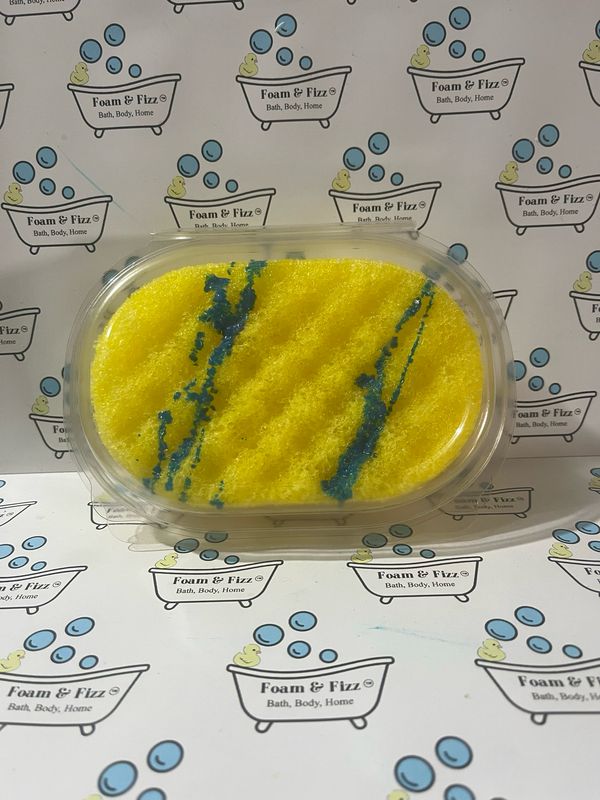 Prince Soap Infused Sponge
