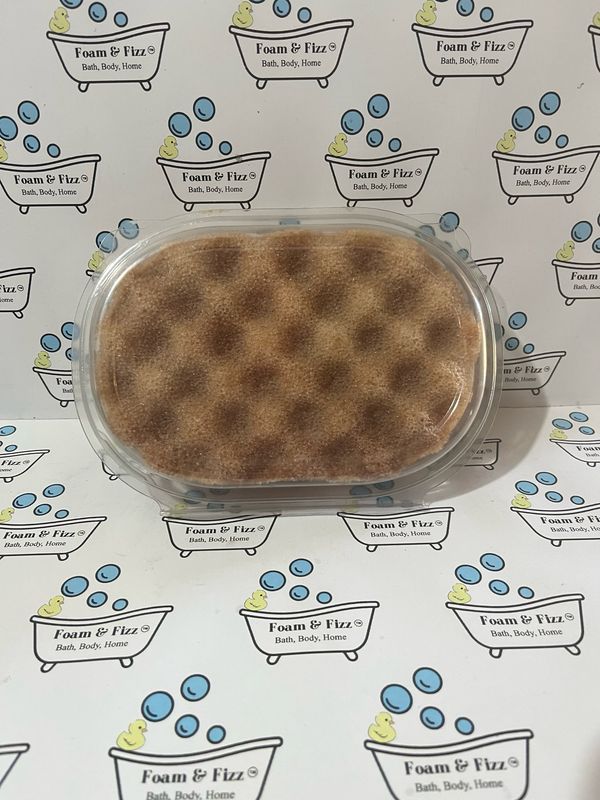 Pacific Coconut Soap Infused Sponge