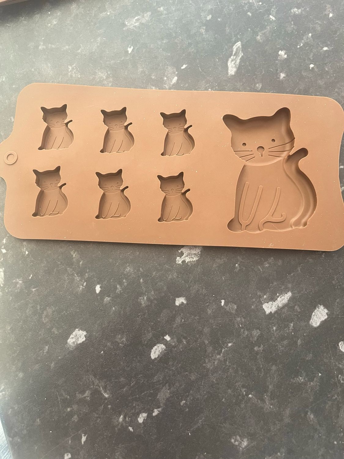 Cat mould Cat mould