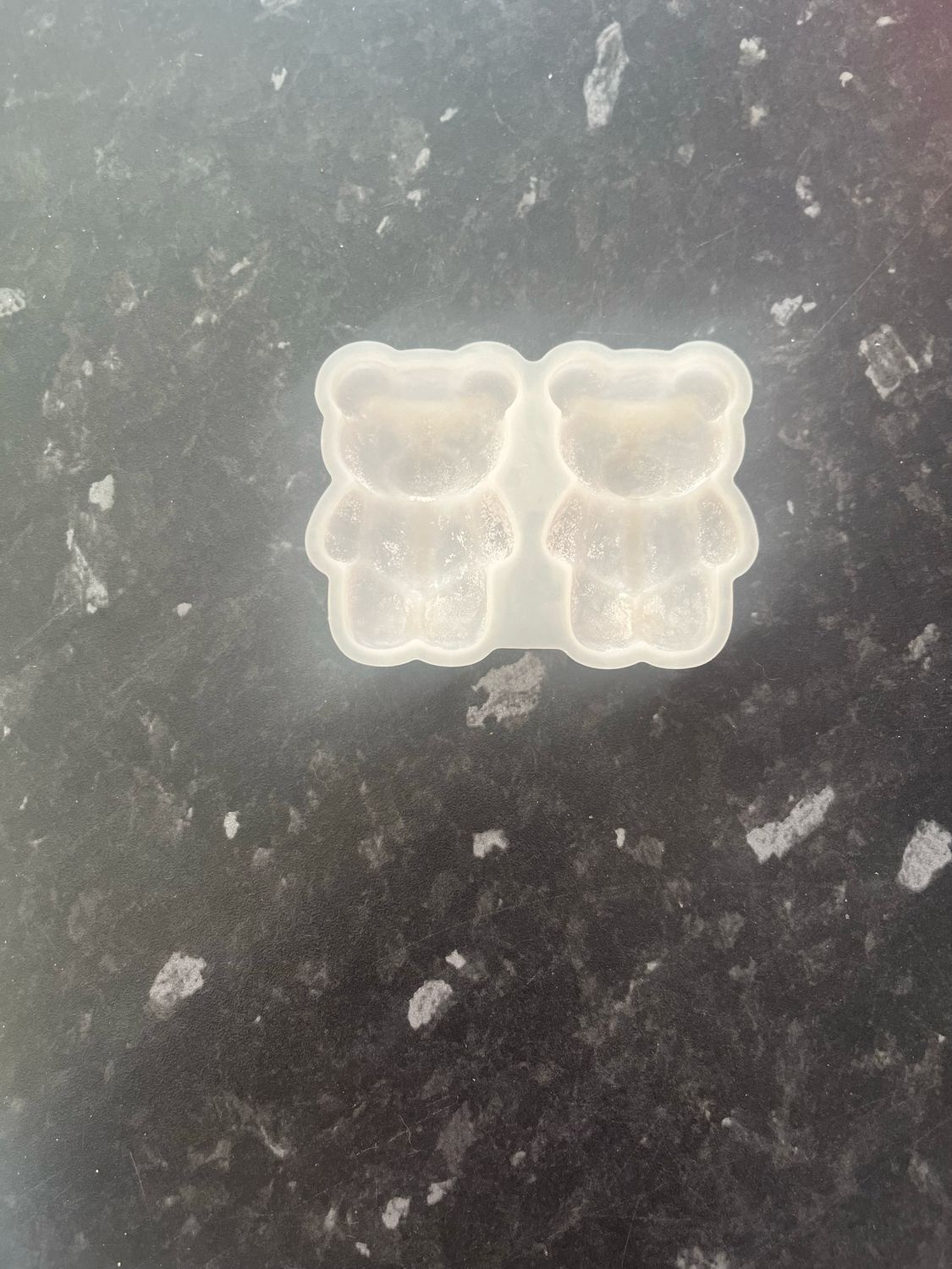 Teddy mould