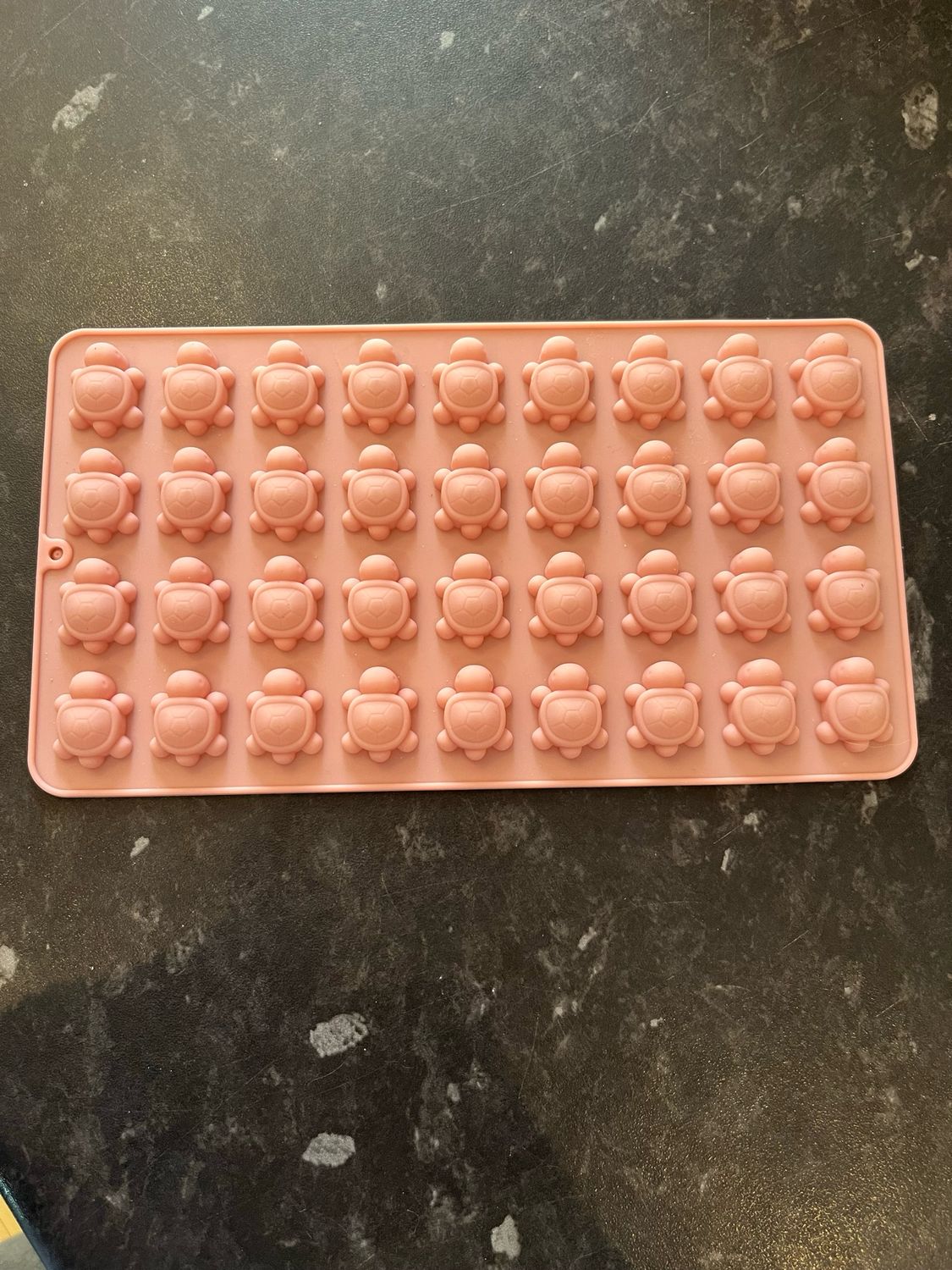 Turtle mould Turtle mould