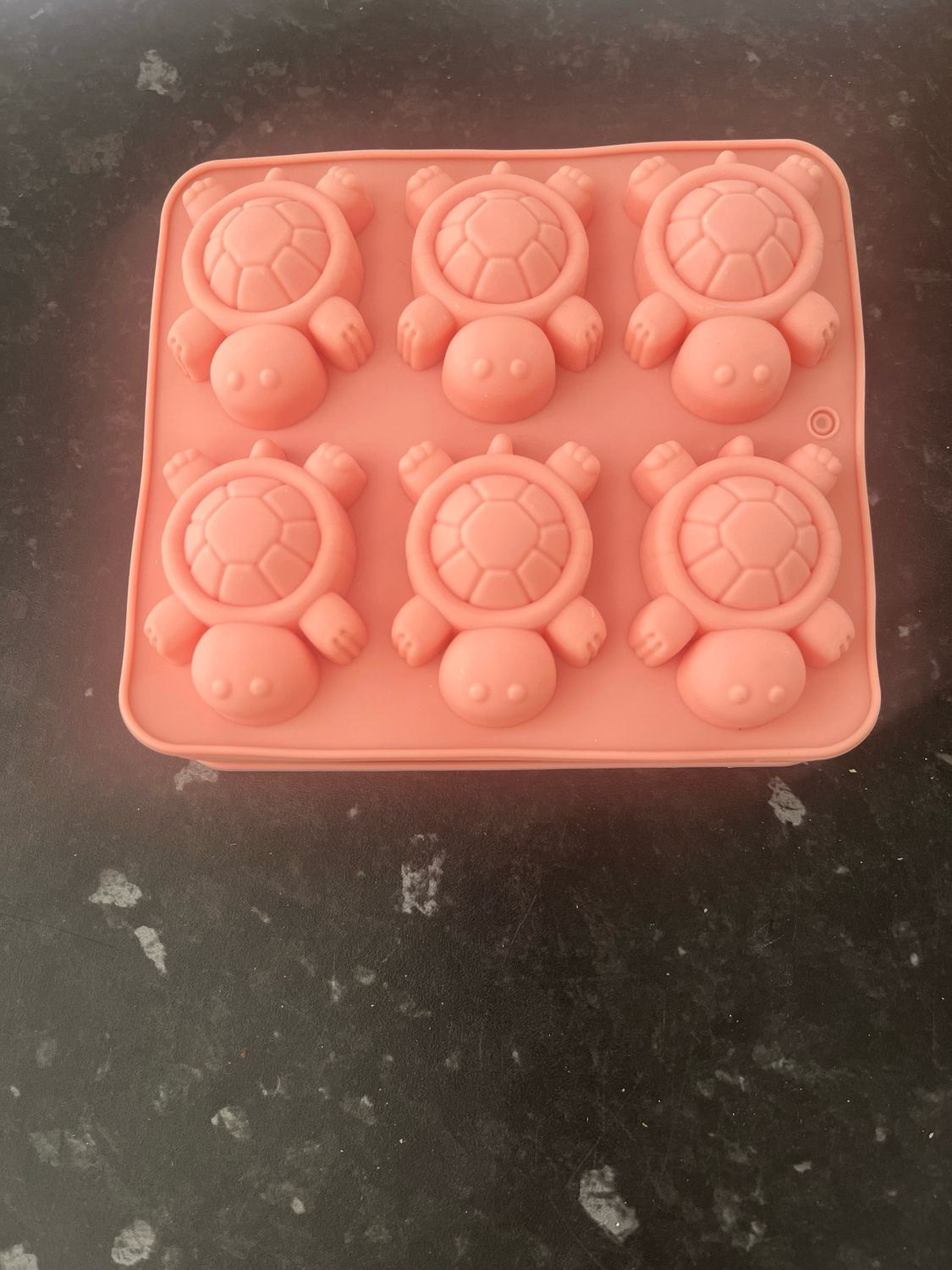 Turtle mould