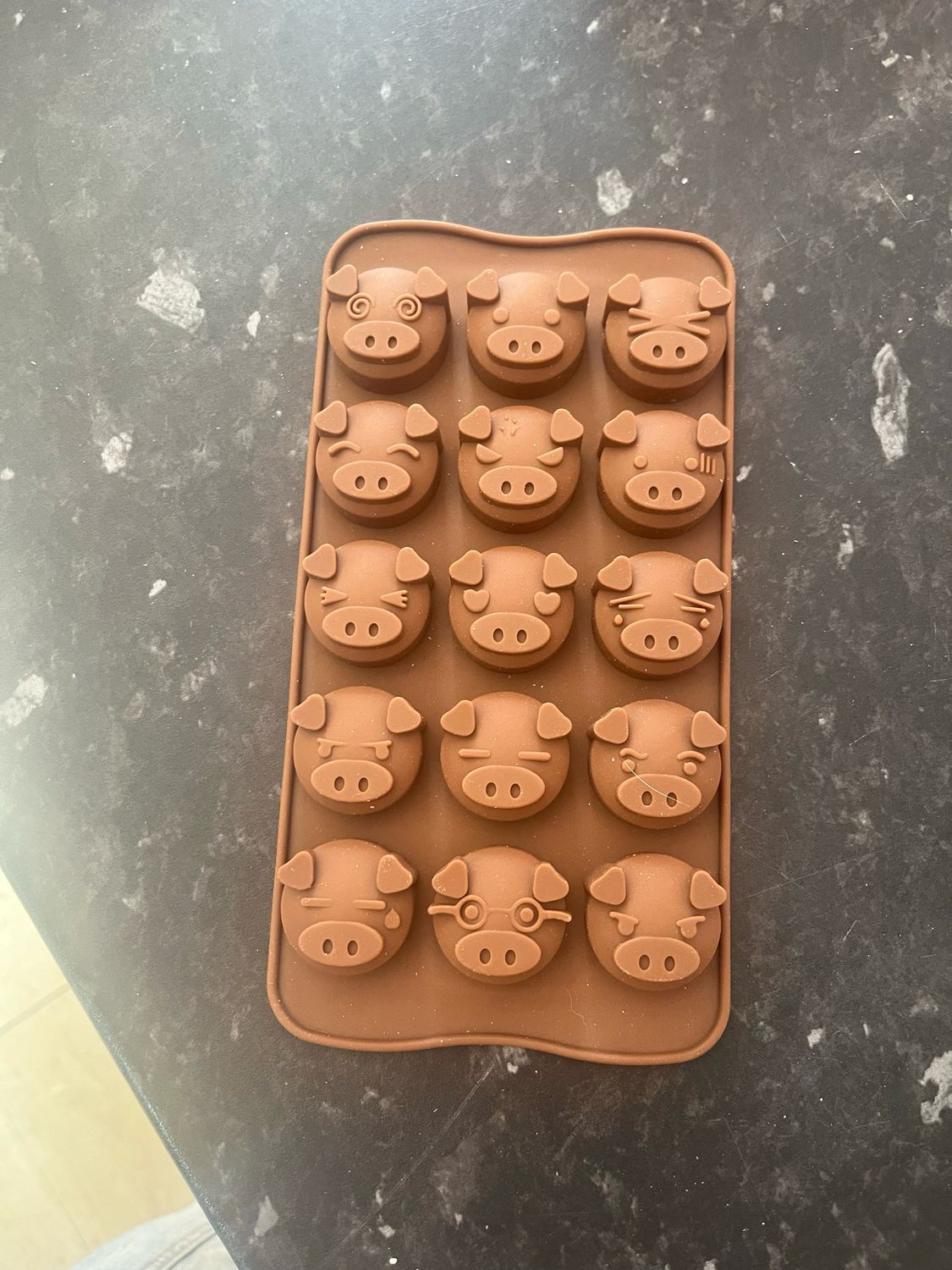 Pig mould
