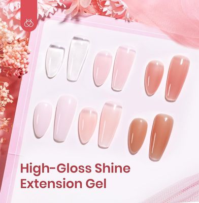 Poly Gel Nail Kit