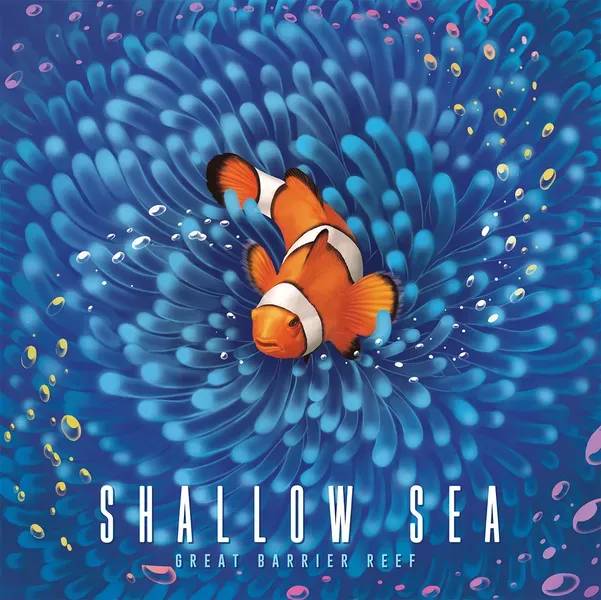 Shallow Sea - Juego de mesa Costa Rica - Carelimon Games