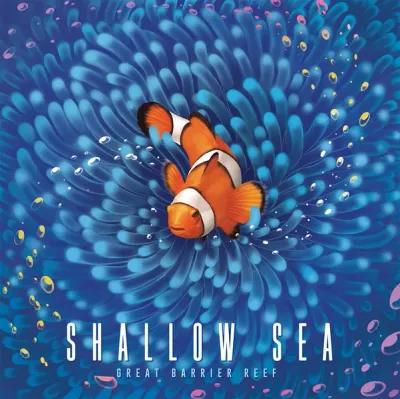 Shallow Sea - Juego de mesa Costa Rica - Carelimon Games