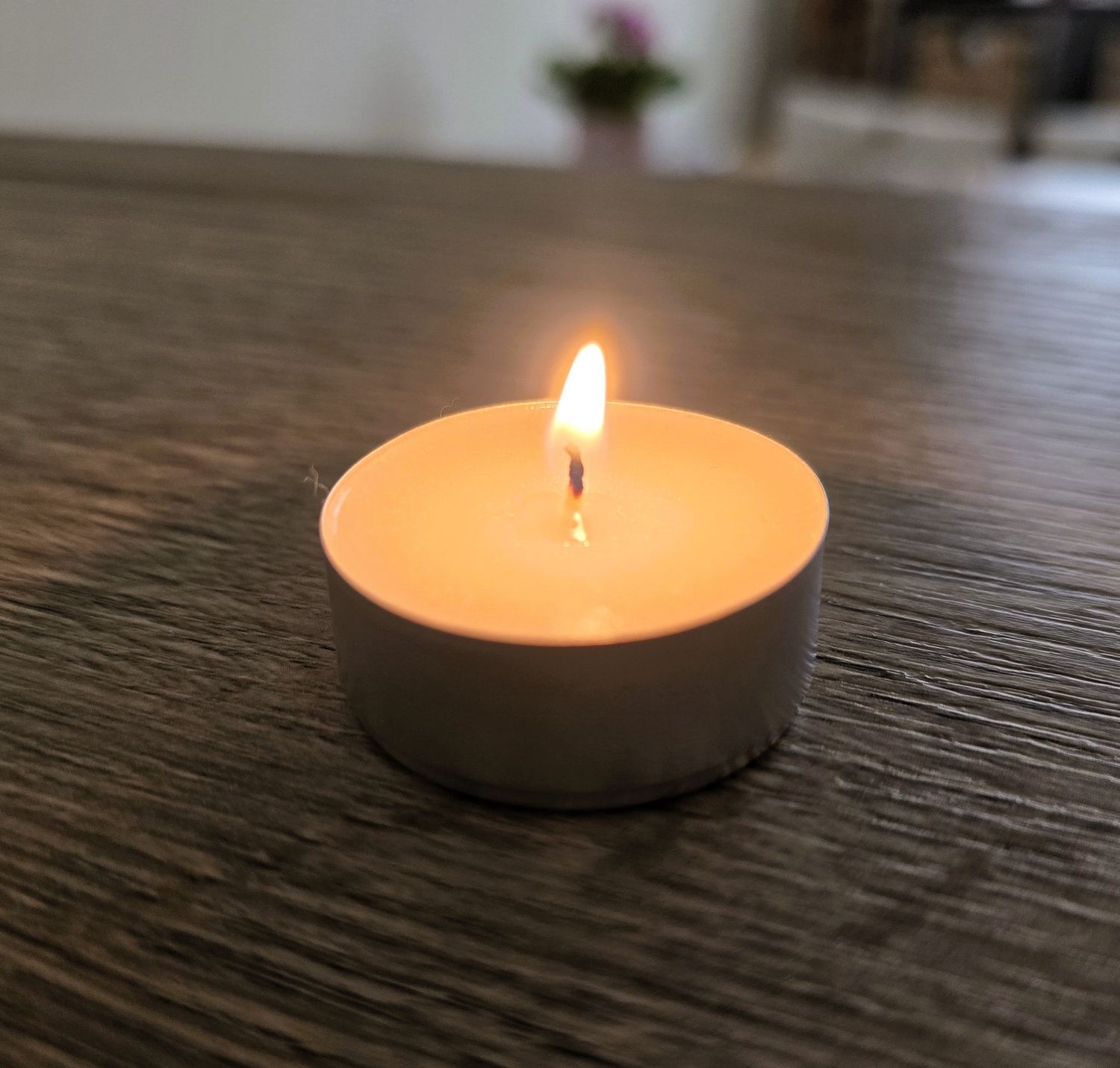 Tealighty / podgrzewacze bezzapachowe z wosku sojowego - BOX 20 szt.