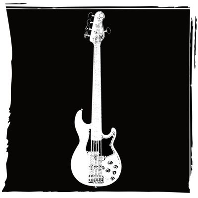 5-String Bass Guitars