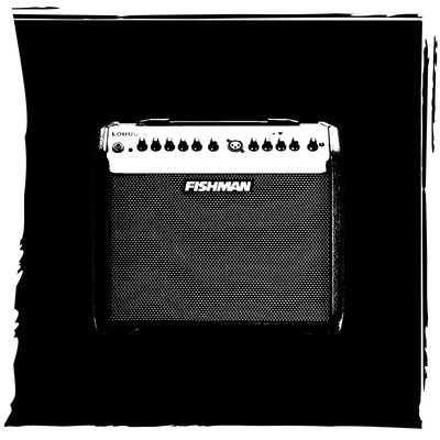 Acoustic Guitar Amps