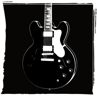 Semi-Hollowbody Electric Guitars