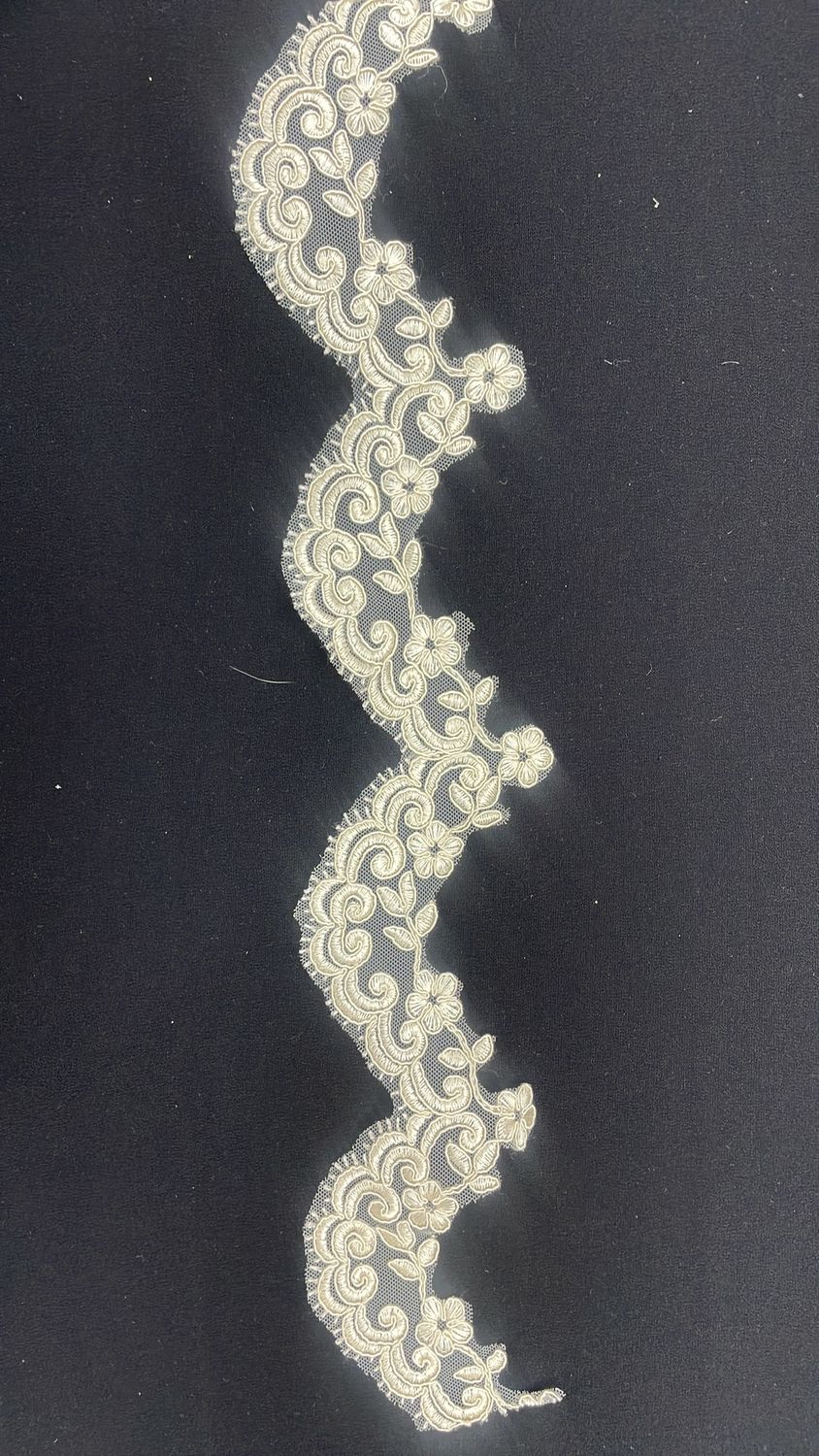 [ 21237 ] Lace Border Corded/9cm/5g/CHAMPAGNE per Meter