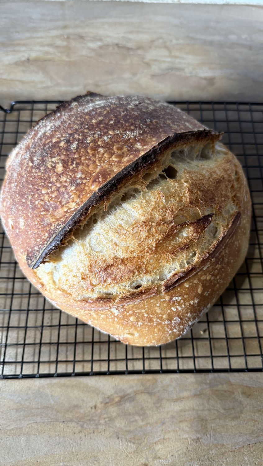 Sourdough