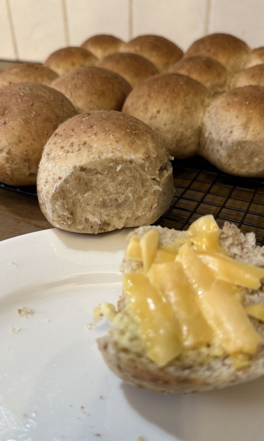Dinner Rolls (Whole Wheat, Plain)