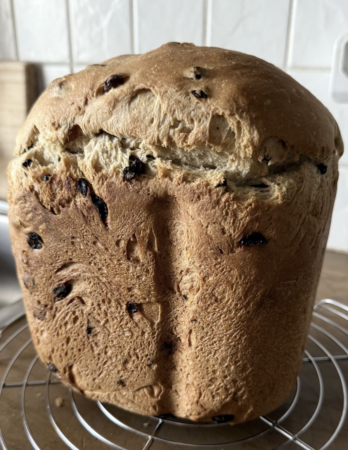 RAISIN LOAF (SMALL) - Freezer to Toaster.  Contains: Bread Flour, Whole wheat Flour, Sugar, Salt, Butter, Raisins, Fruit, Yeast.