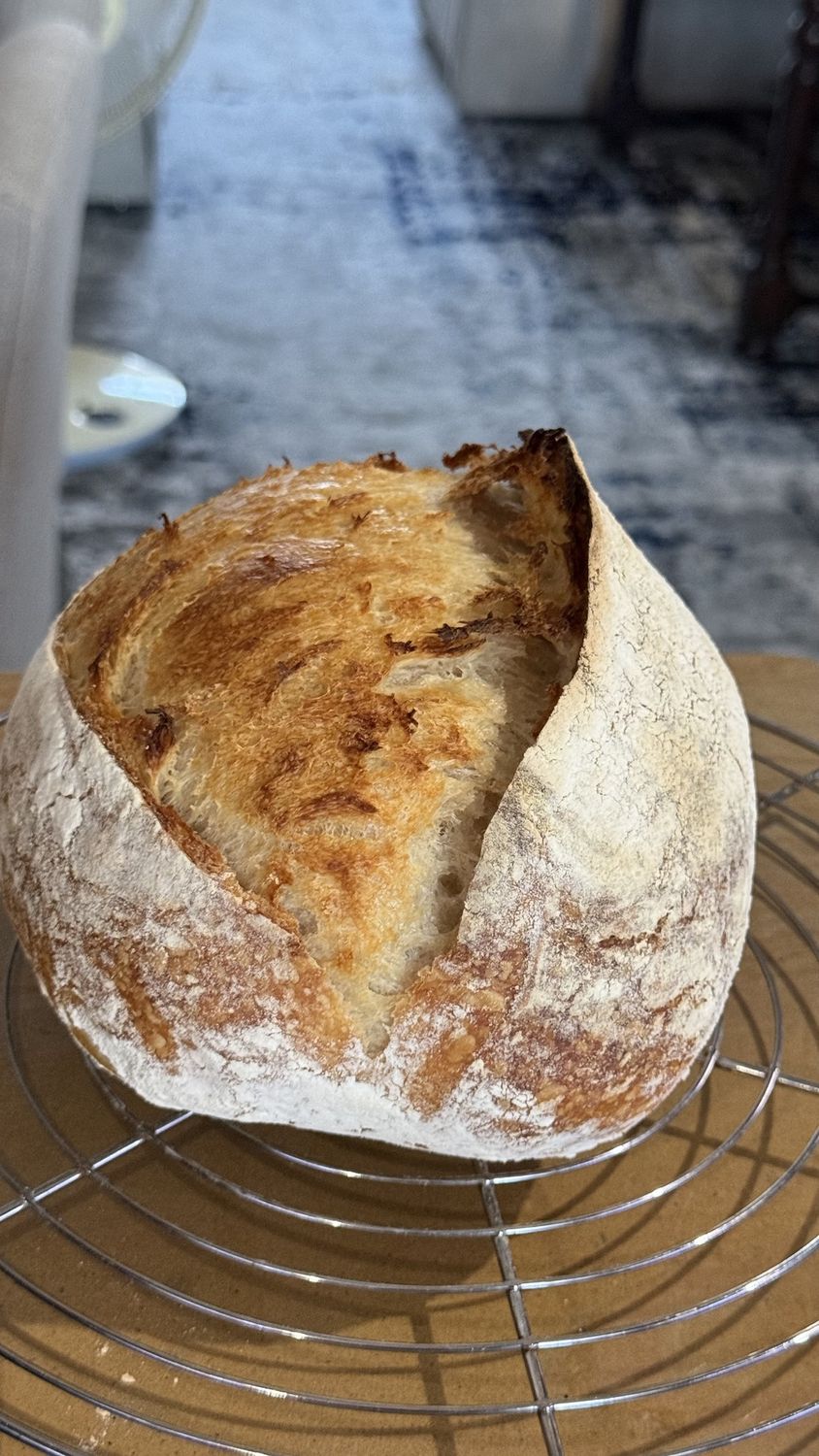 SOURDOUGH Loaf.  Real Artisan Bread. (Frozen &amp; Sliced).  Gluten broken Down. Digested Slower. Feel fuller for longer. TIP: Freezing &amp; Toasting boosts Gut Health. ONLY: FLOUR, WATER, SALT, NO YEAST.