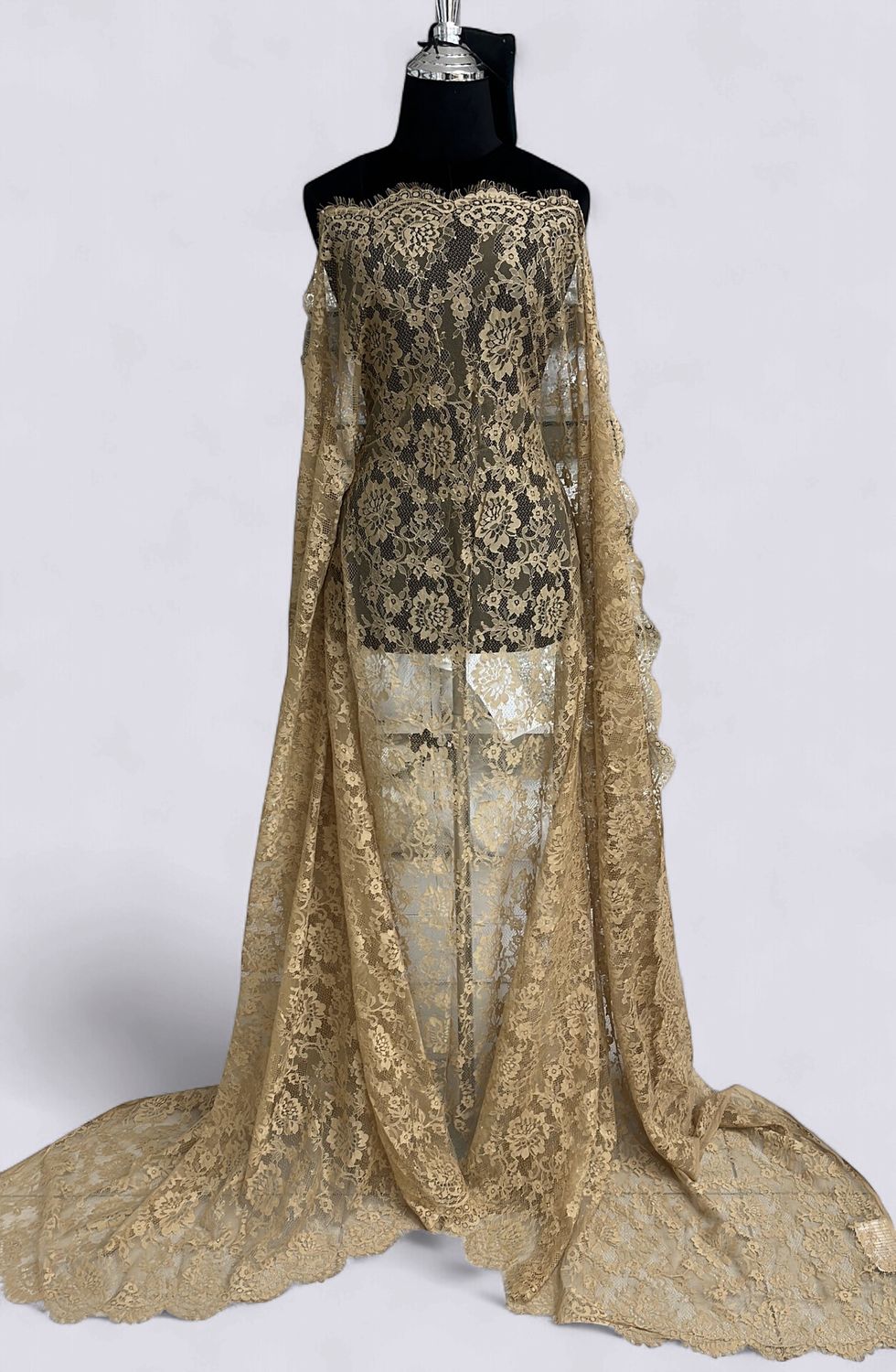 CHANTILLY LACE Evening Gown-per m-150-01-BISCUIT