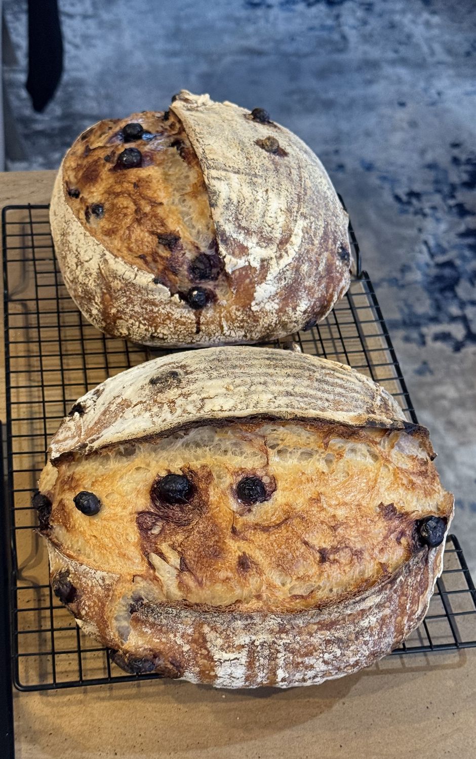 SOURDOUGH Bâtard. BLUEBERRIES &amp; LEMON ZEST. Real Artisan Bread. (Frozen &amp; Sliced). Gluten broken Down. Digested Slower. Feel fuller for longer. TIP: Freezing &amp; Toasting boosts Gut Health. ONLY: FLOUR,